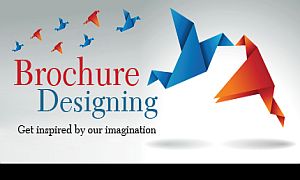PDF/ Brochure Designing