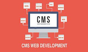 CMS Web Development