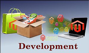 Magento Web Development