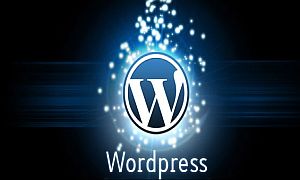 Wordpress Web Development